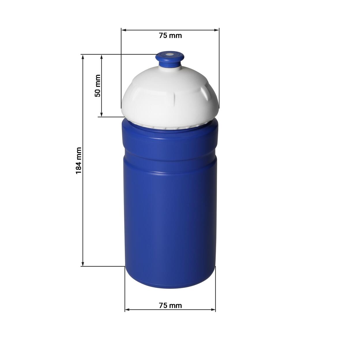 Trinkflasche "Champion" 0,55 l