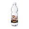 500 ml PromoWater - Mineralwasser - Papier-Etikett 2P004P