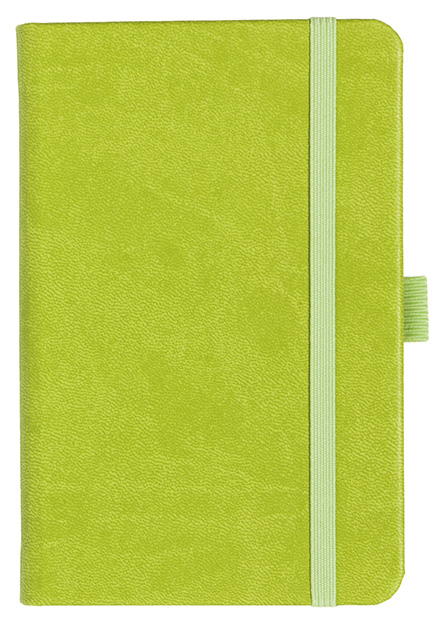 Notizbuch Style Small im Format 9x14cm, Inhalt blanco, Einband Slinky in der Farbe Lime