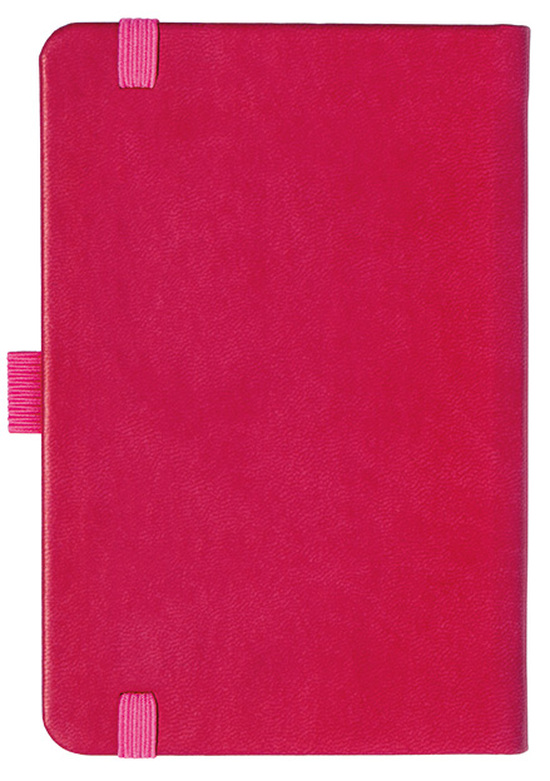 Notizbuch Style Small im Format 9x14cm, Inhalt liniert, Einband Slinky in der Farbe Pink