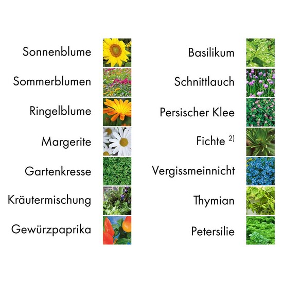 Pflanz-Set - 3er-Set - Basilikum / Gartenkresse / Kräutermischung