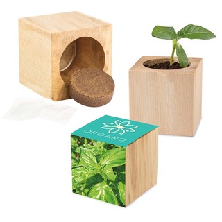 Pflanz-Holz Maxi mit Samen - Basilikum