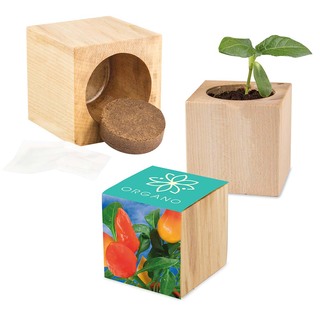 Pflanz-Holz Maxi mit Samen - Gewürzpaprika, 2 Seiten gelasert