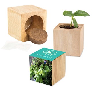 Pflanz-Holz Maxi mit Samen - Kräutermischung, 2 Seiten gelasert