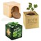 Pflanz-Holz Star-Box mit Samen - Glücksklee-Zwiebel, 1 Seite gelasert (* Je nach Verfügbarkeit der Glücksklee-Zwiebeln)