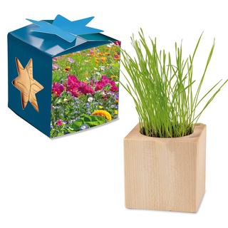 Pflanz-Holz Maxi Star-Box mit Samen - Sommerblumenmischung, 1 Seite gelasert