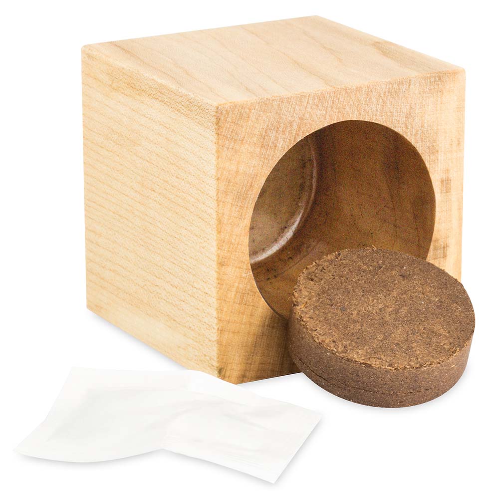 Pflanz-Holz Maxi Star-Box mit Samen - Kräutermischung, 2 Seiten gelasert
