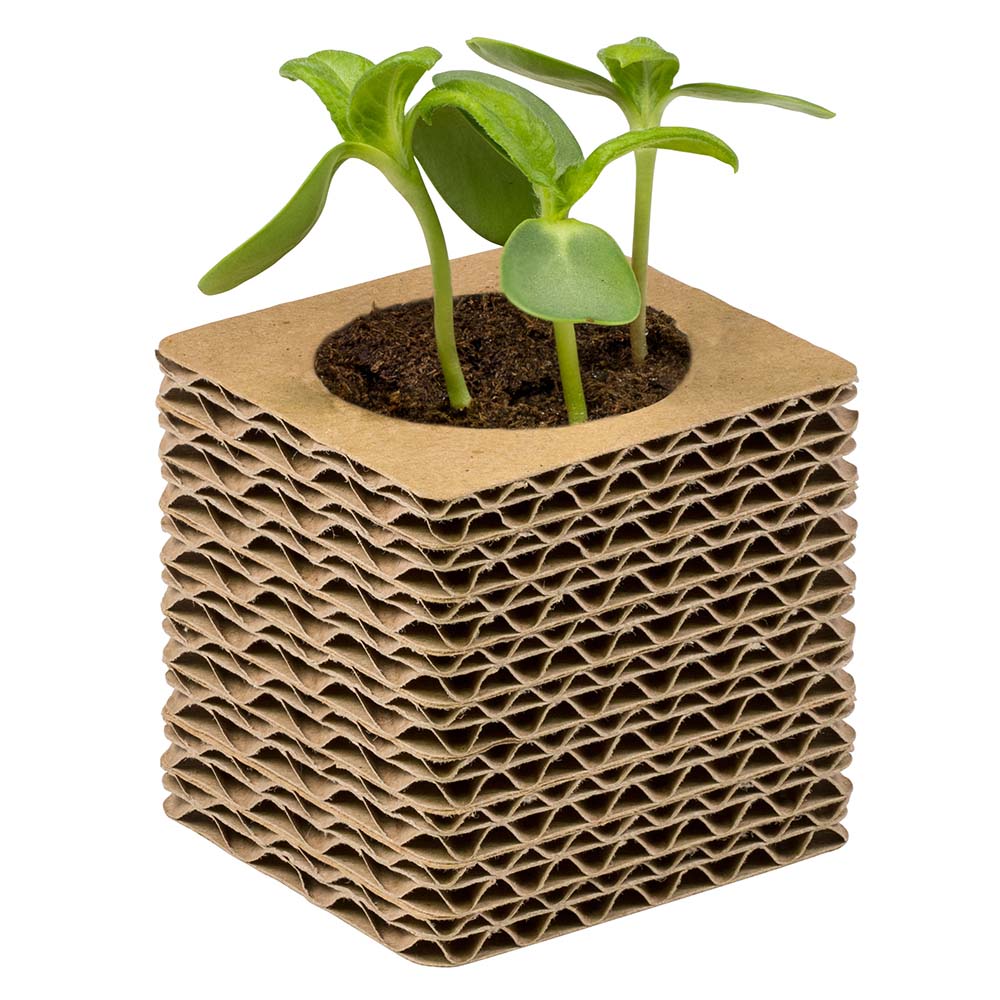 Wellkarton-Pflanzwürfel Mini mit Samen - Kräutermischung