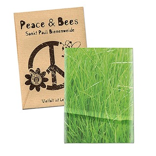 Samentütchen Mini - Natronkraftpapier - Gras