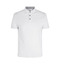 SEVEN SEAS The polo