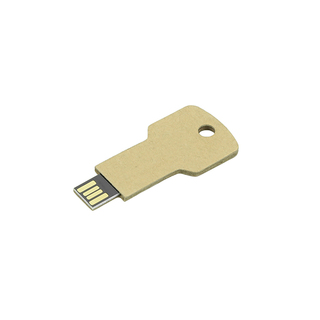 USB Stick Greencard key 1 GB