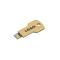 USB Stick Greencard key 1 GB