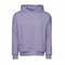 CV3729 Unisex Sponge Fleece Pullover DTM Hoodie