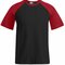 Men`s Raglan T