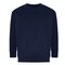 EA032 Crater Recycled Sweatshirt