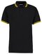 Classic Fit Tipped Collar Polo