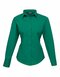 Ladies` Poplin Long Sleeve Blouse