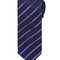 Sports Stripe Tie