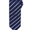 Sports Stripe Tie