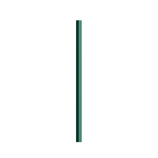 BIC® Evolution® Ecolutions® Cut Bleistift